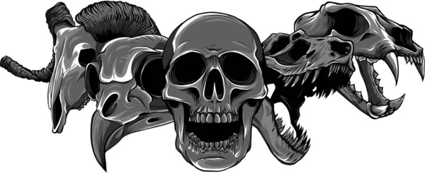 動物の頭蓋骨のデザインのベクトル図 — ストックベクタ