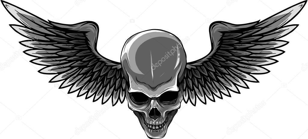 vector illustration of Skull with bird wings