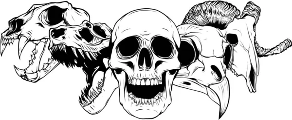 Vector illustratie van dierlijke schedel kunst ontwerp — Stockvector