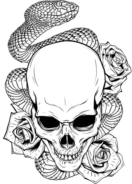 Vector illustration of skull, roses and snake — Stock Vector