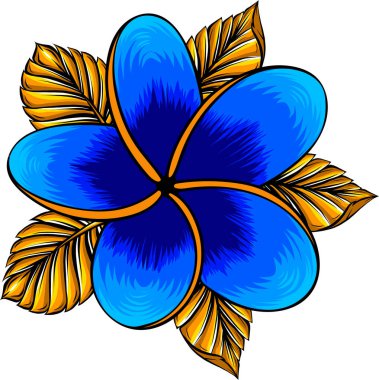 Beyaz renkte izole edilmiş frangipani çiçeğinin vektör çizimi