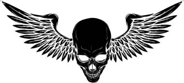 Kuş kanatlı Kurukafa 'nın vektör çizimi