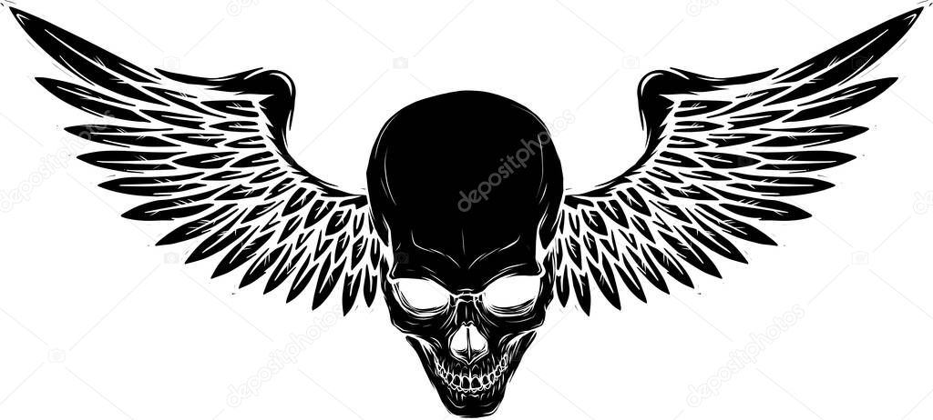 vector illustration of Skull with bird wings
