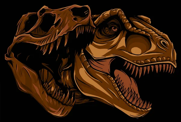 Tyrannosaurus rex con diseño de ilustración de vectores fósiles de cráneo — Archivo Imágenes Vectoriales