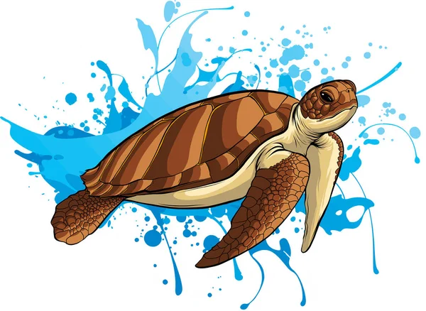 Vectorillustratie van zeeschildpad op water — Stockvector