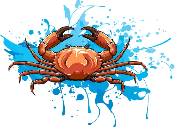 Illustration vectorielle de crabe en style dessin animé. Conception de produits de la mer . — Image vectorielle
