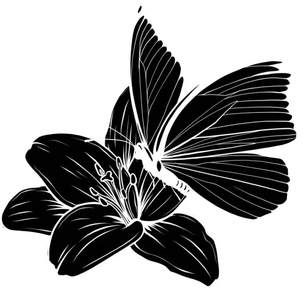 Flor e silhueta butterflie. Desenho de ilustração vetorial — Vetor de Stock