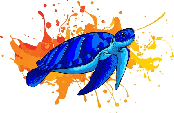 Vektor blaue Meeresschildkröte auf farbigem Hintergrund — Stockvektor