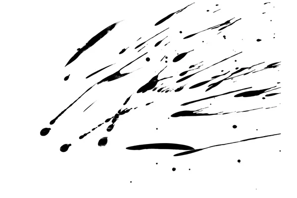 Splashes of paint brush isolated on white background. — Stock Photo, Image