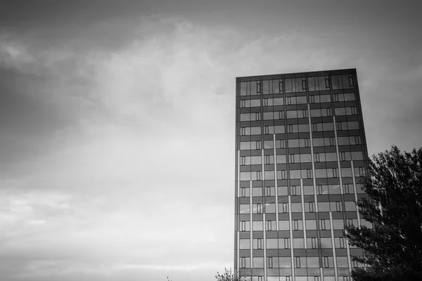 고층 건물의 사무실 복잡입니다. 흑인과 백인. — 스톡 사진