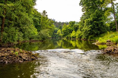 Vadide akan nehir yeşil ağaçların arasında..