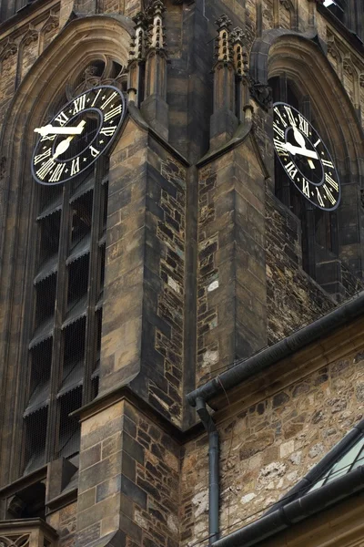 Catedral de San Pedro y Pablo — Foto de Stock