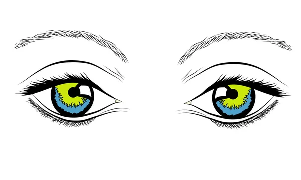 Los ojos de la mujer — Vector de stock