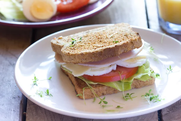 Fresh Healthy Breakfast — Stock Photo, Image