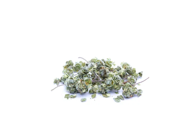 Marjoram isolated on white background — Stock Photo, Image