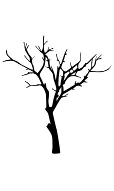 Eski kuru ağaç siluet