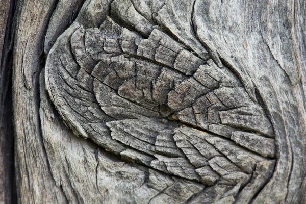 Primo piano del vecchio nodo di legno — Foto Stock