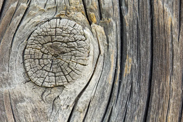 Primo piano del vecchio nodo di legno — Foto Stock