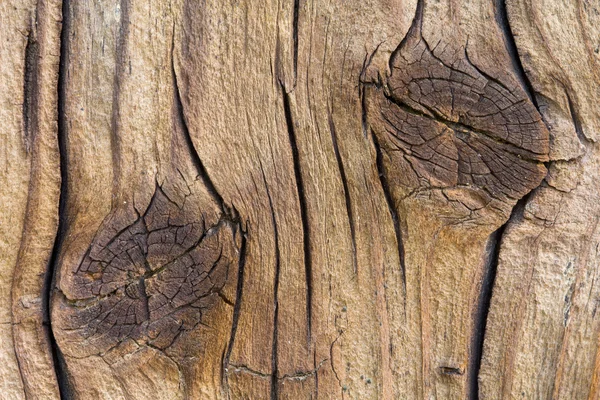 Papan kayu tua dengan simpul — Stok Foto