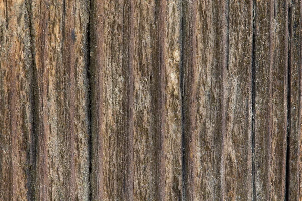 Textura de velhas tábuas de madeira — Fotografia de Stock