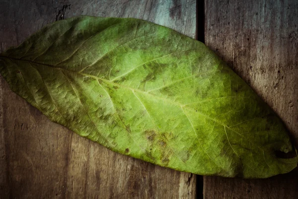 Herbstlaub. farbiges Walnussblatt auf altem Holztisch. — Stockfoto