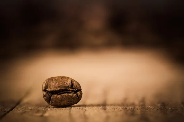 Chicco di caffè estremamente vicino . — Foto Stock