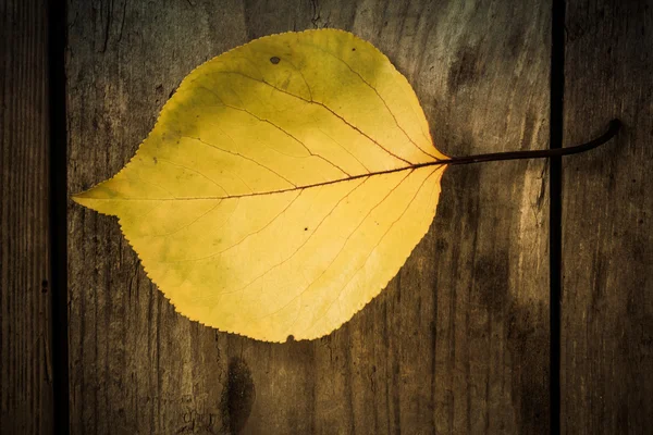 Folhas de outono. Porca de folhas colorida na velha mesa de madeira. Contexto das folhas . — Fotografia de Stock