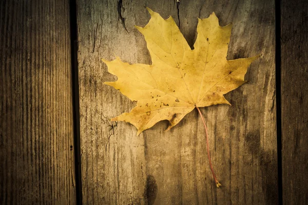 Feuilles d'automne. Feuilles colorées noix sur une vieille table en bois. Contexte des feuilles . — Photo