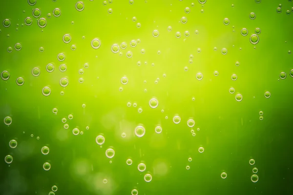 Green lime background with bubbles — Stock Photo, Image