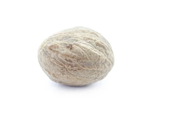 Nutmeg isolated on white background — Stock Photo, Image