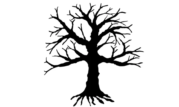 Beyaz arka plan üzerinde izole ağaç vektör.