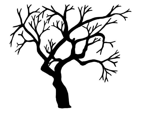 Beyaz arka plan üzerinde izole ağaç vektör.