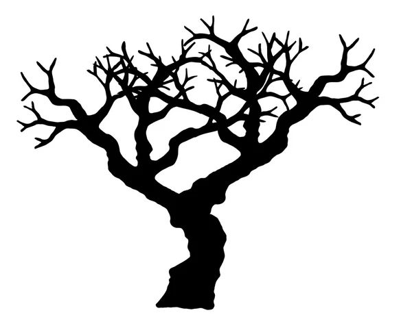 Vecteur d'arbre isolé sur fond blanc . — Image vectorielle