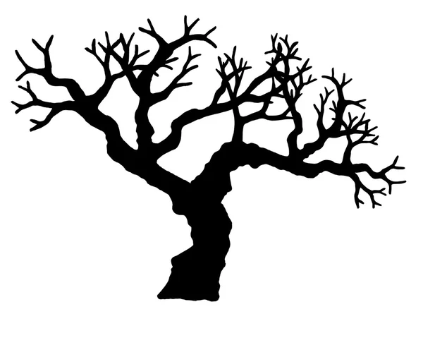 Árbol vector aislado sobre fondo blanco . — Vector de stock