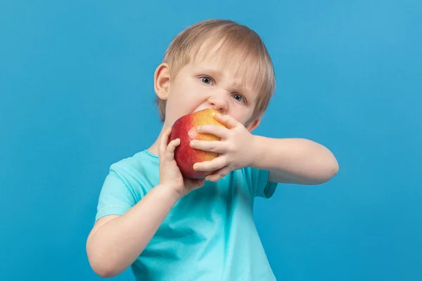 Hungry child bites apple violently. Close-up studio shot on blue background. Healthy baby food concept.