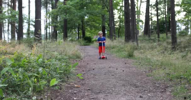 Criança andar de scooter no caminho da floresta e cair, dói bater a cabeça e chorar. — Vídeo de Stock
