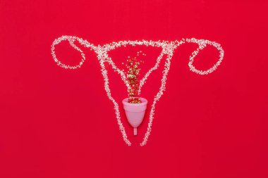 Kırmızı arka planda parıltıları olan dişi üreme organlarının yerleşimi. Pembe aybaşı bardağıyla düz yatıyordu..