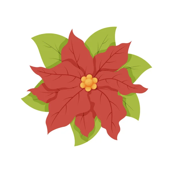 Rajzfilm Karácsonyi Virág Növény Poinsettia Vectoe Illusztráció — Stock Vector