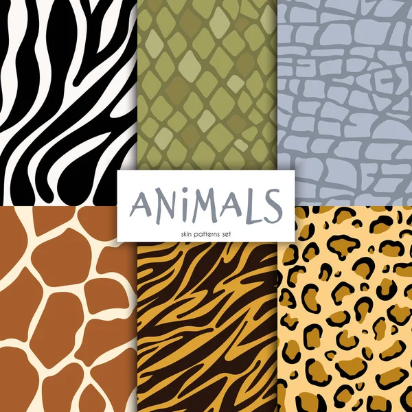 Animales Patrones Piel Establecidos Ilustración Vectorial Dibujada — Vector de stock