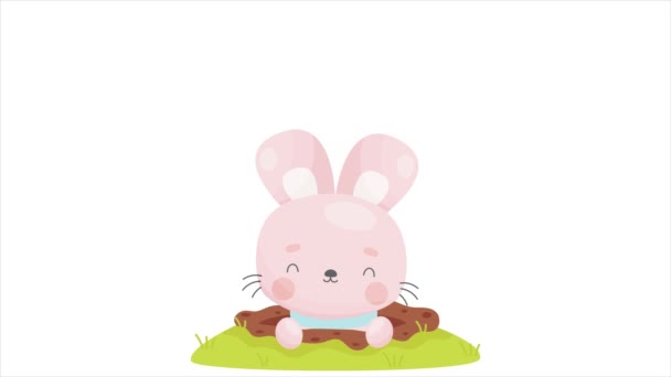 Милий Мультяшний Великодній Кролик Дивиться Отвору Щаслива Великодня Бульбашка Являється — стокове відео