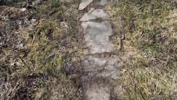 乾燥した草の中の石のパスに沿って歩く スタビライザーなしで手持ち撮影 放棄された場所を歩く — ストック動画