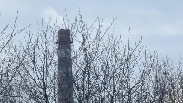 Város Kazánházának Füstölgő Kéménye Iparosítás Ökológia Téma — Stock videók