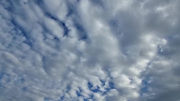 การเช อมต อเวลา ของการเคล อนไหวของเมฆปร มาตร การเปล ยนแปลงในสภาพอากาศการโจมต ของเมฆฝน — วีดีโอสต็อก