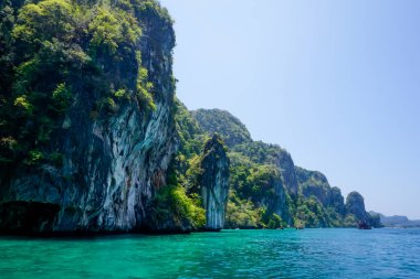 Tayland 'daki tropikal Phi adalarından Flora ve Fauna
