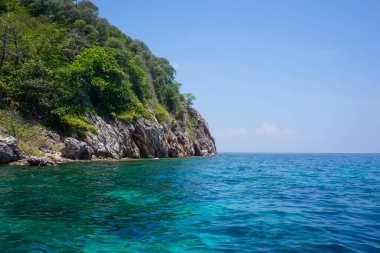 Tayland 'daki tropikal Phi adalarından Flora ve Fauna