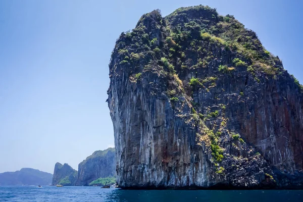 Flora Fauna Tropikalnych Wysp Phi Phi Tajlandii — Zdjęcie stockowe