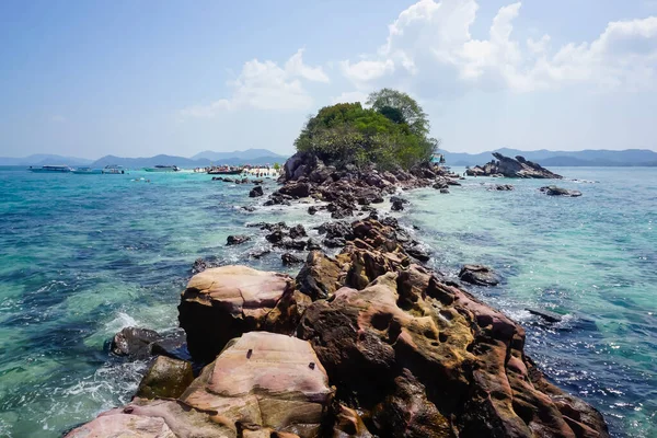 Flora Och Fauna Tropiska Phi Phi Öarna Thailand — Stockfoto