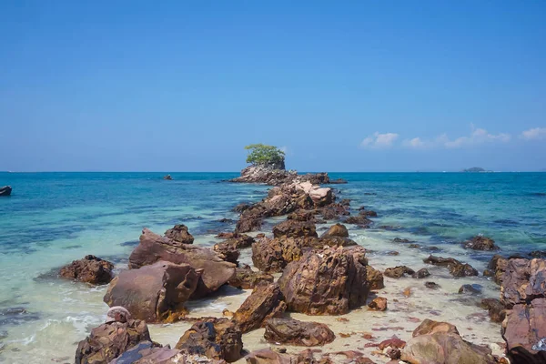 Flora Och Fauna Tropiska Phi Phi Öarna Thailand — Stockfoto