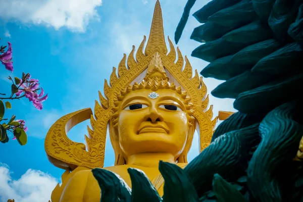 Een Reusachtig Gouden Boeddhabeeld Het Grondgebied Van Tempel Phatthalung Thailand — Stockfoto