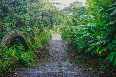 Endonezya 'nın Bali adasında terk edilmiş bir otel.